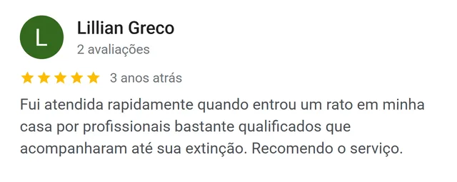 Avaliação de Lillian Greco no Google: atendida rapidamente quando entrou um rato em casa